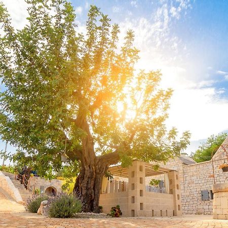 Navolte Trulli e Quiete Villa Locorotondo Esterno foto